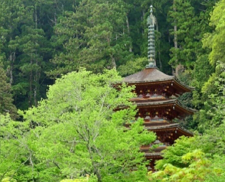 自然豊かな奈良県は特有の風土・歴史があります。地元企業だからこそ出来る快適な住環境のご提案をおこないます。